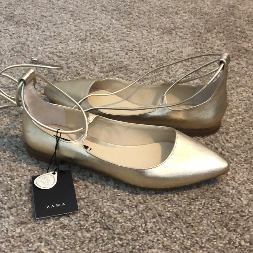Zara Pointed Toe Lace Up Flats